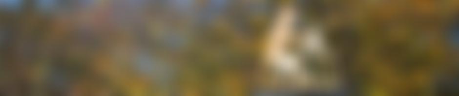 Horningsea Village Hall Trust | Charici