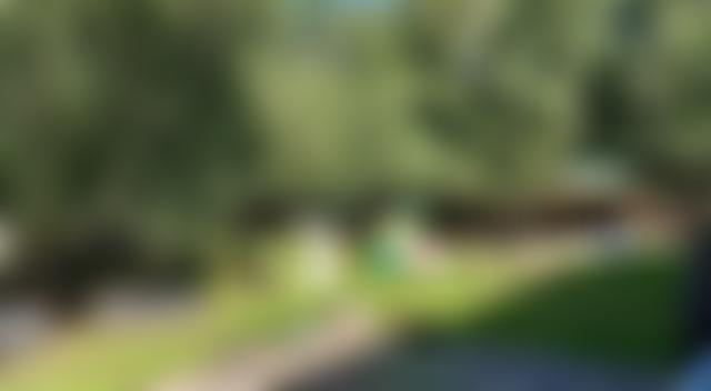 Stepping Stones Of Sopley | Charici