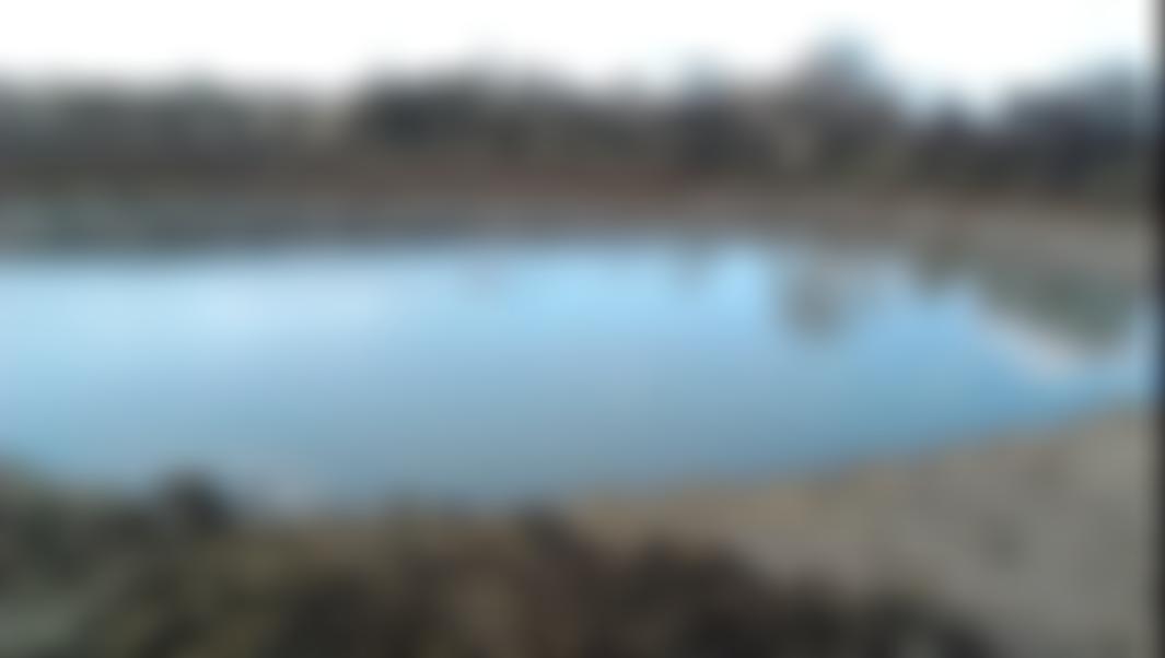 Kingfishers Bridge Wetland Creation Trust | Charici