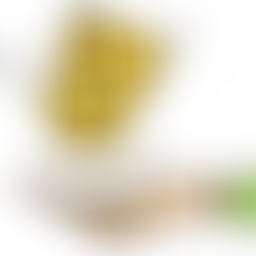 The Light Outreach | Charici