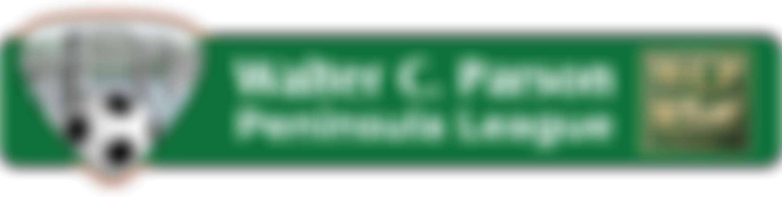 South West Peninsula Football League Benevolent Fund | Charici