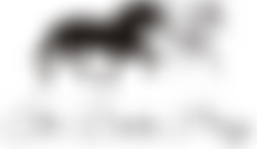 The Dales Pony Society | Charici