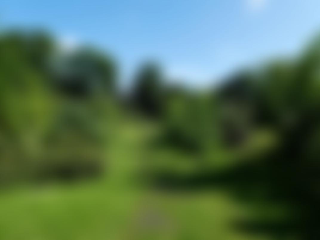Friends Of Graves Park | Charici