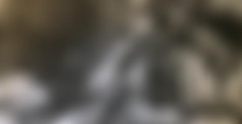 Francis Haskell Memorial Fund | Charici