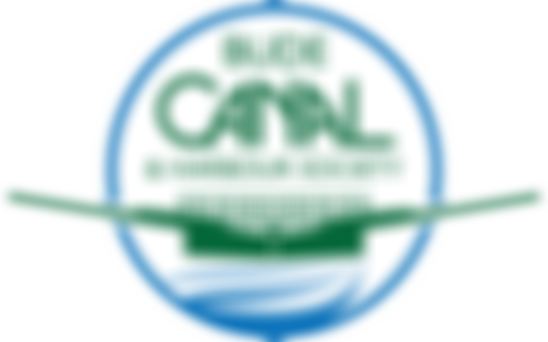 Bude Canal And Harbour Society | Charici