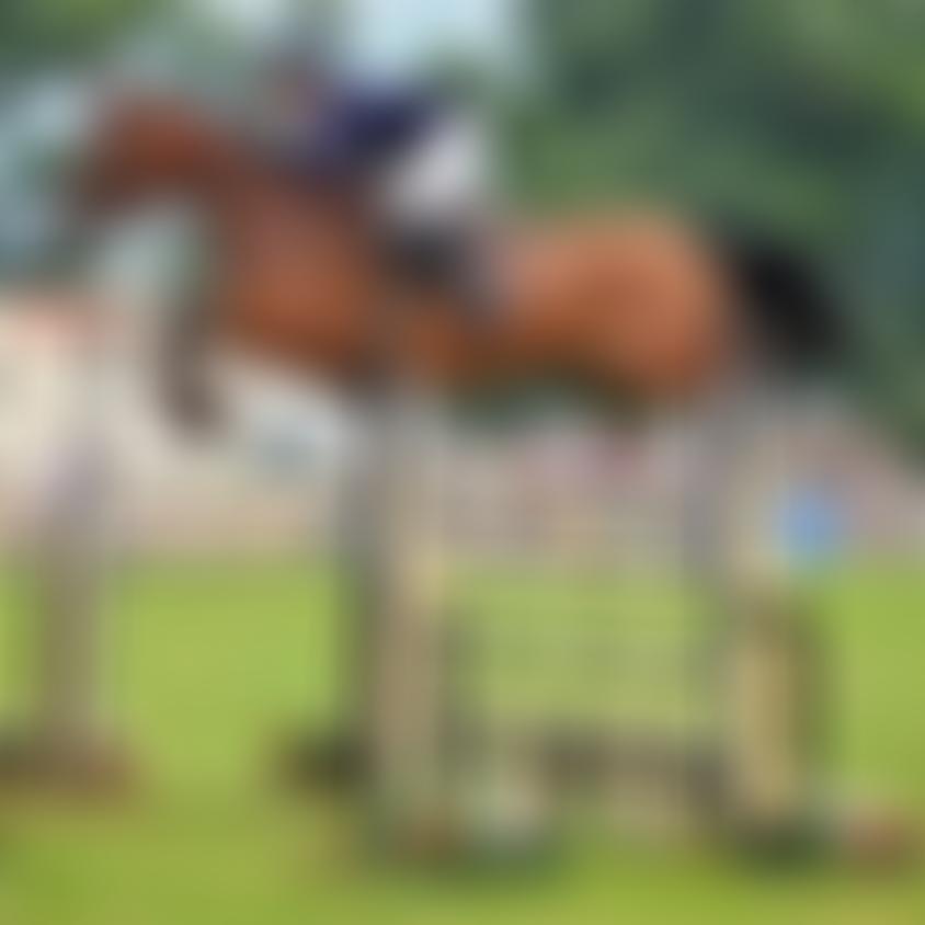 The Denbighshire And Flintshire Agricultural Society Limited | Charici
