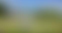 Pelton Fell War Memorial Park Bowling Club | Charici