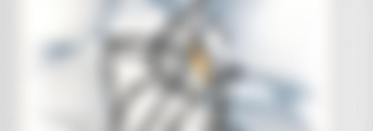 The Institute Of Psychotherapy And Disability | Charici