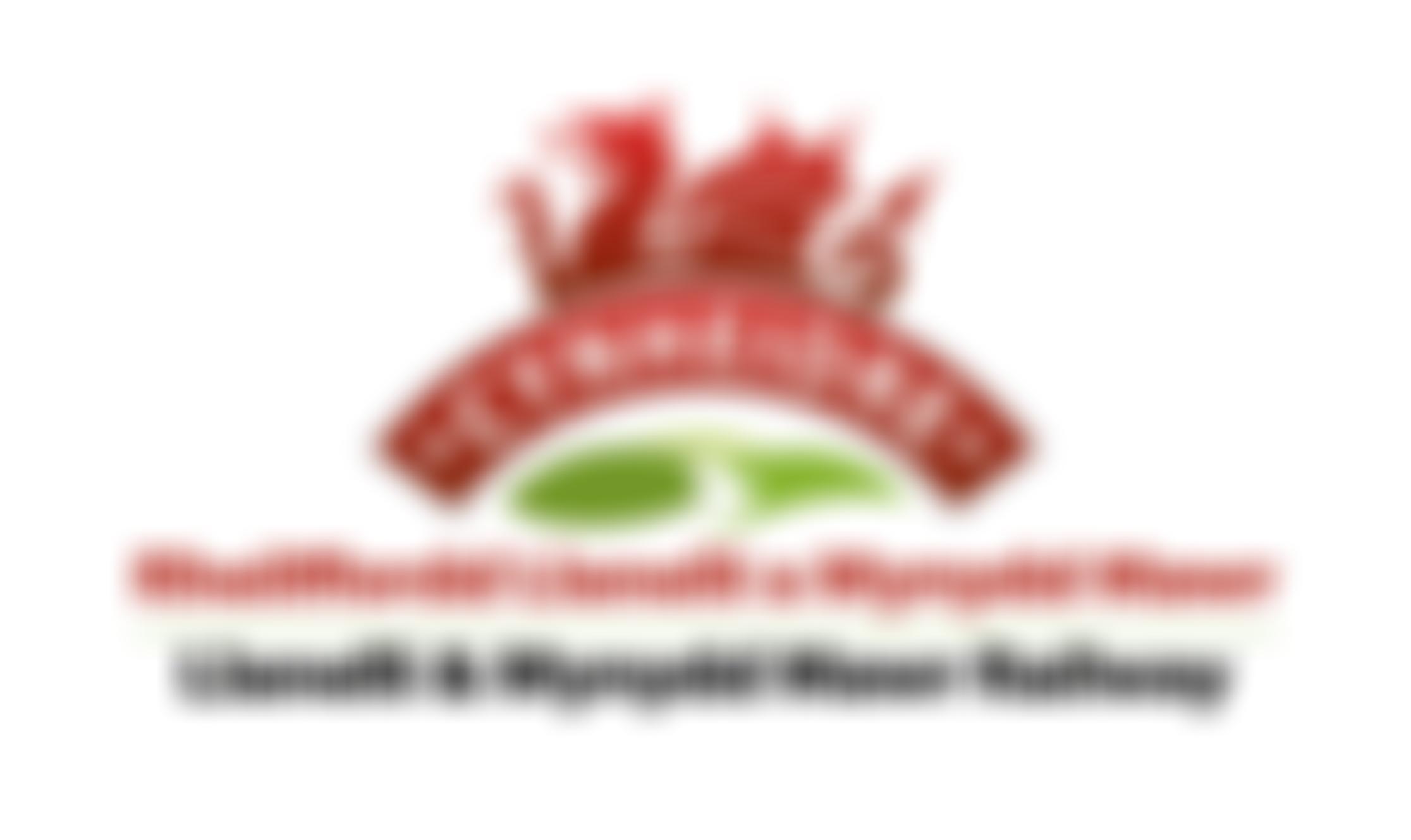 Llanelli And Mynydd Mawr Railway Company Limited | Charici