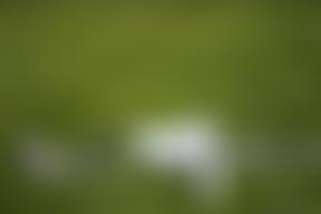 The 948 Sports Foundation | Charici