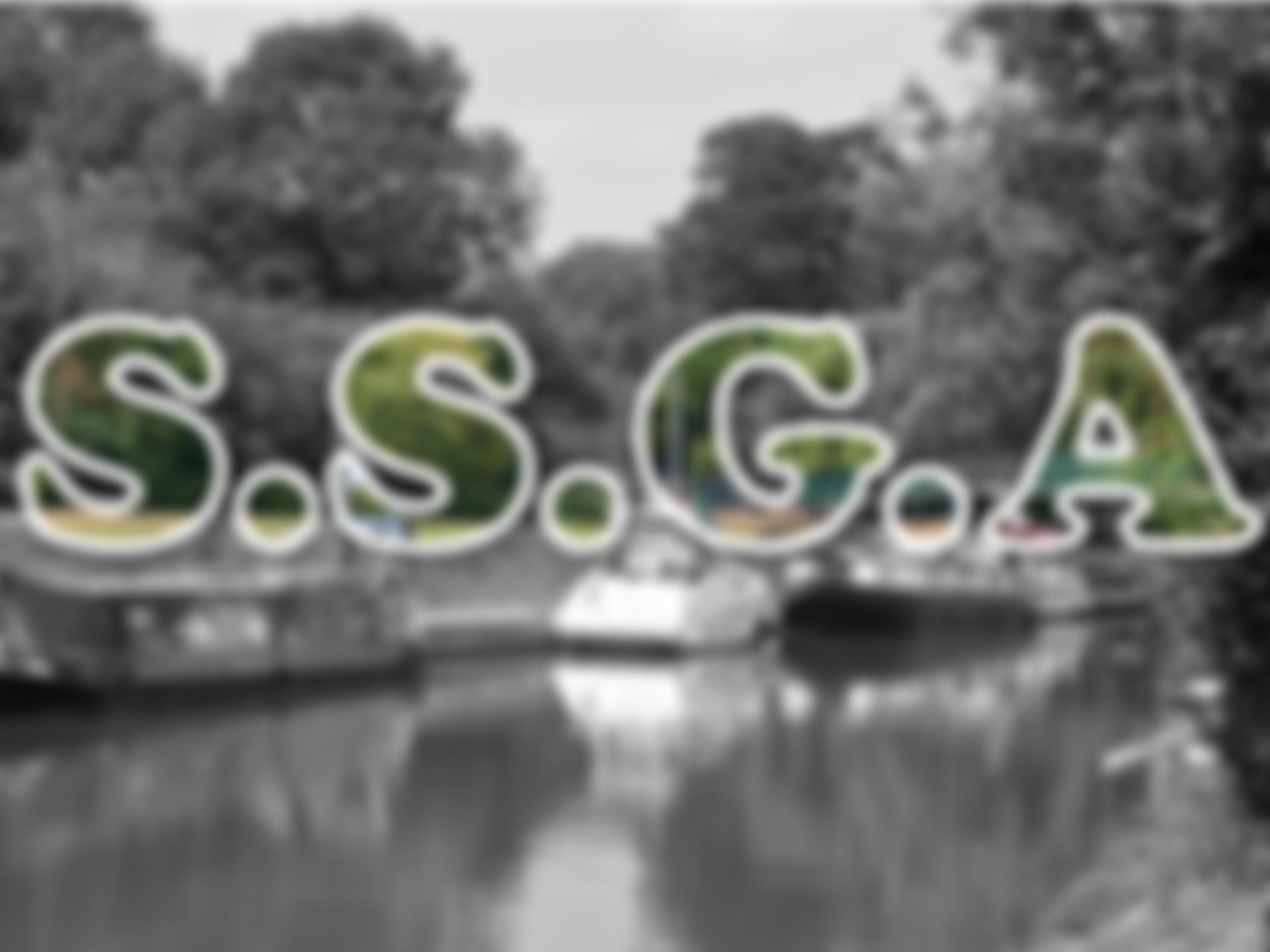 24Th Lincoln (Saxilby) Scout Group | Charici