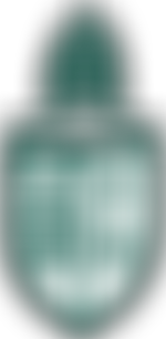 St Nicolas Academy Pta | Charici