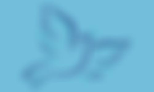 St Charles Parent Teacher Association | Charici