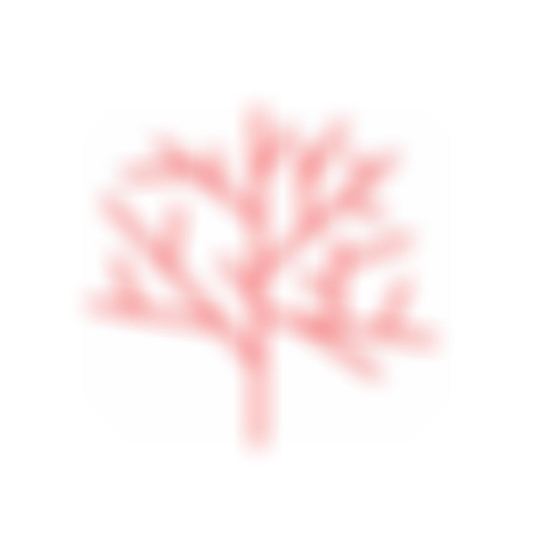 Branch | Charici
