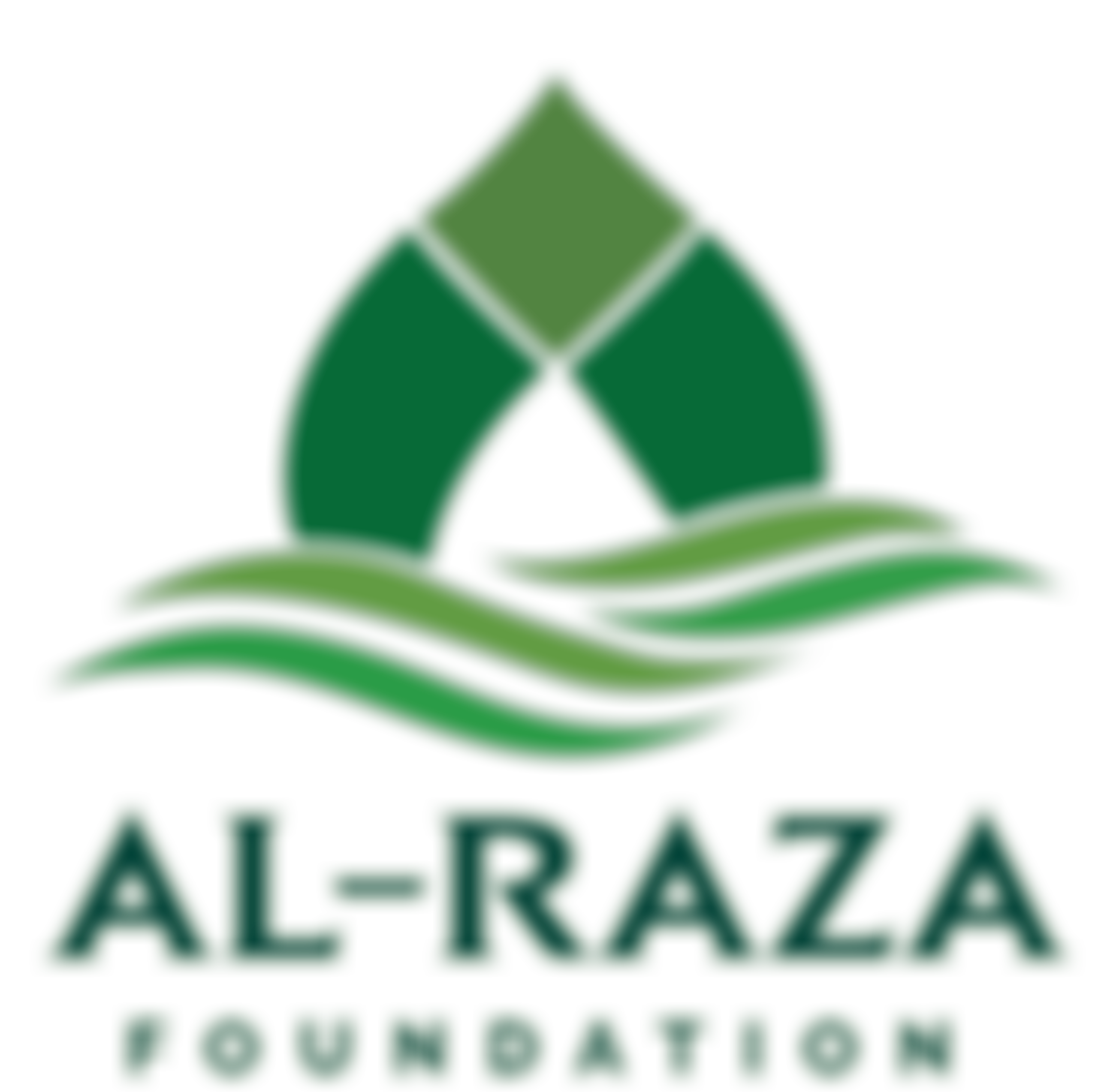 Al- Raza Foundation | Charici