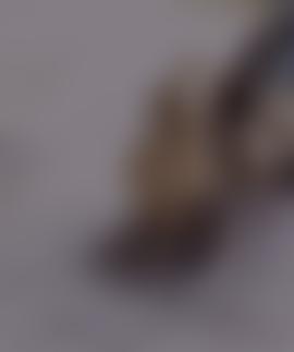 Antisemitism Policy Trust | Charici