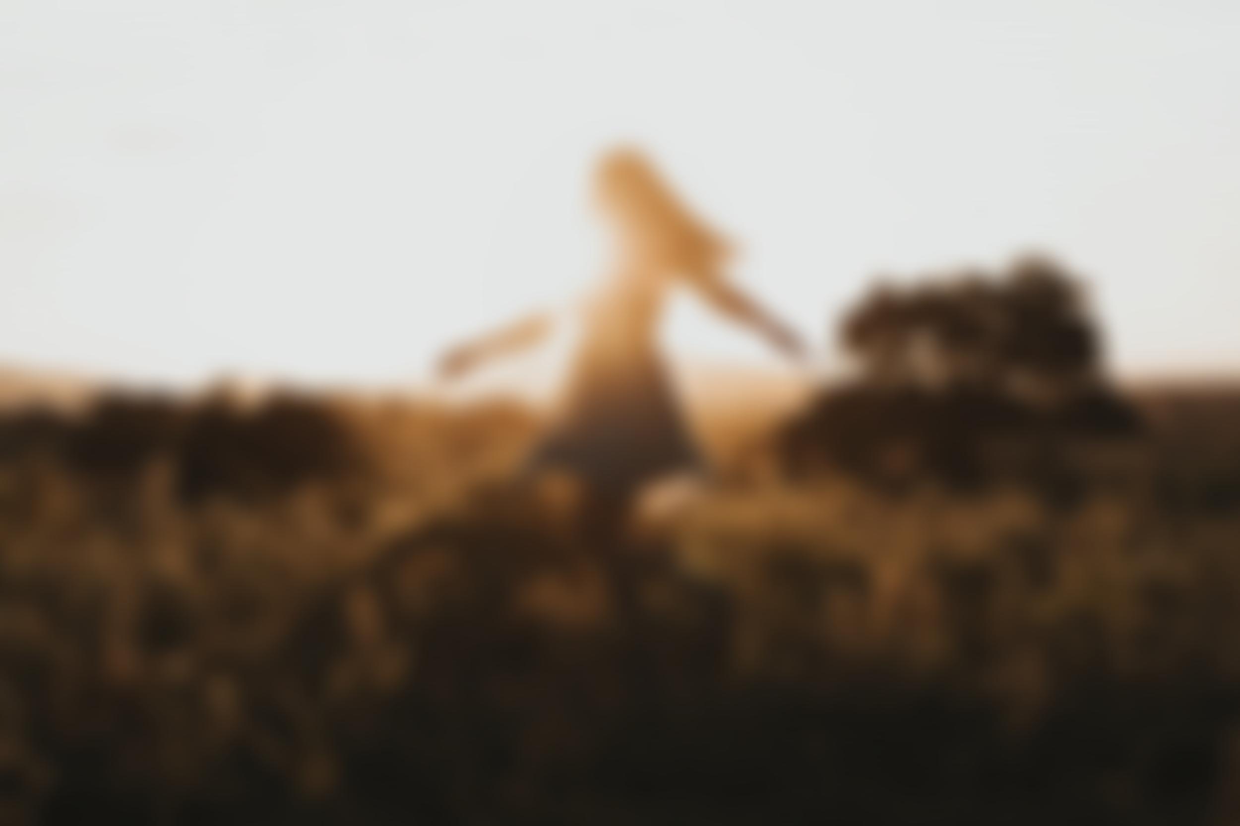 Salford Women's Aid | Charici