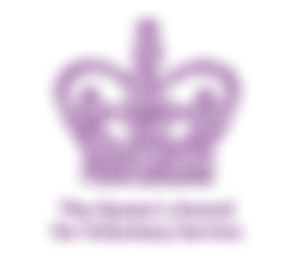 Visor (Visually Impaired Society Of Richmond) | Charici