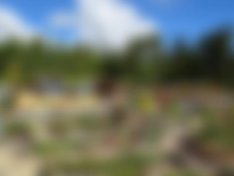 The Batsford Foundation | Charici