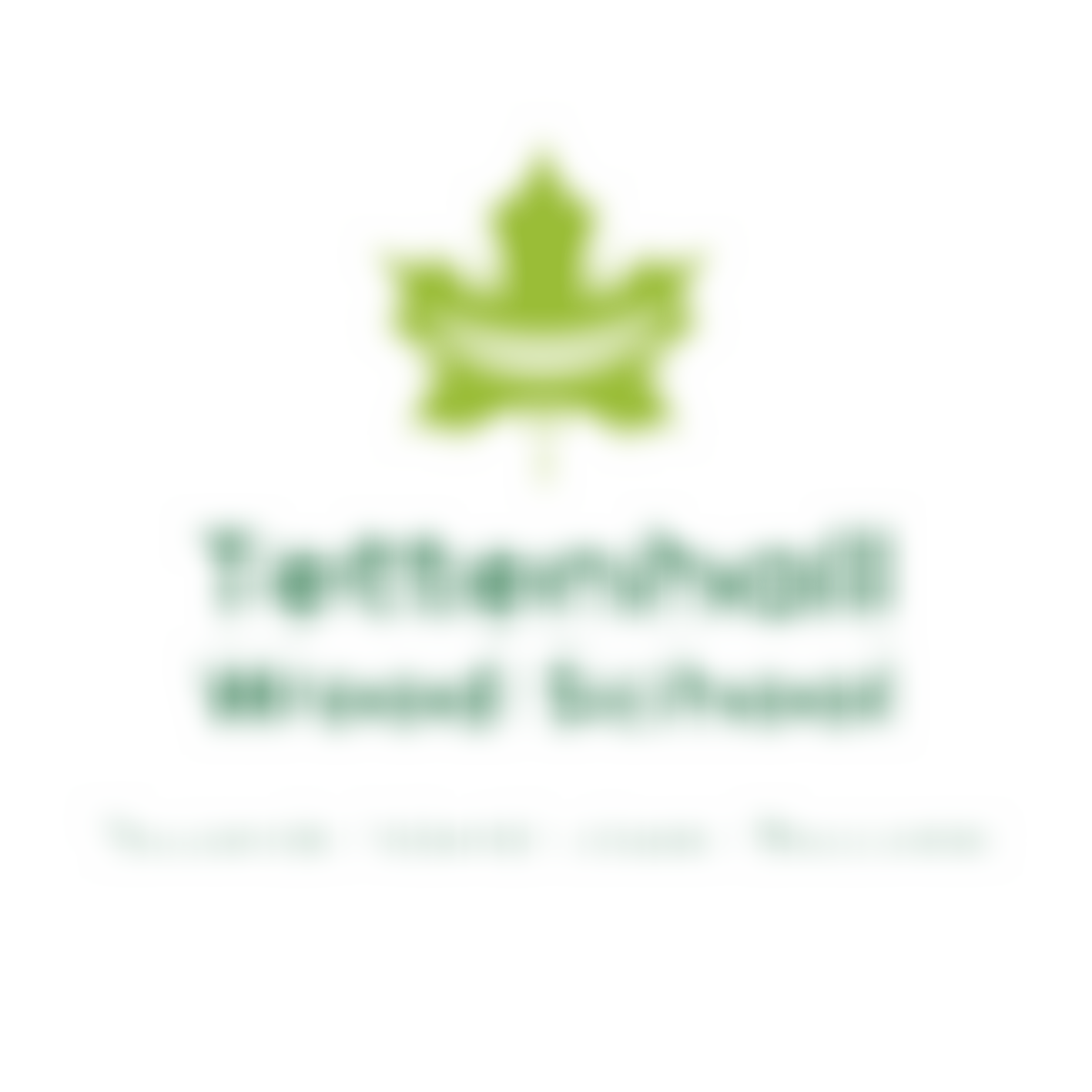 Tettenhall Wood School Fund | Charici