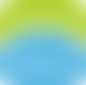 Bridge Mentoring Plus Scheme | Charici