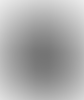 Hampstead Music Club | Charici