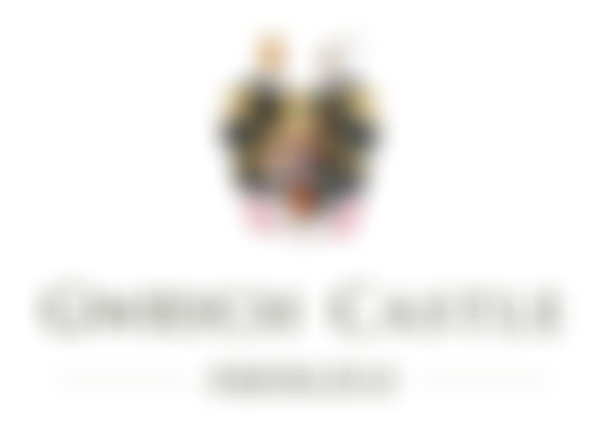 Gwrych Castle Preservation Trust Limited | Charici