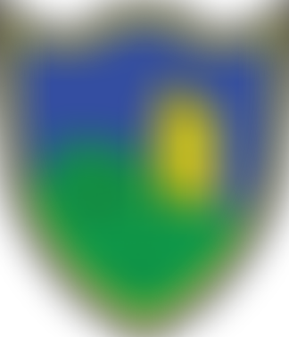 Bruton Primary School Psa | Charici