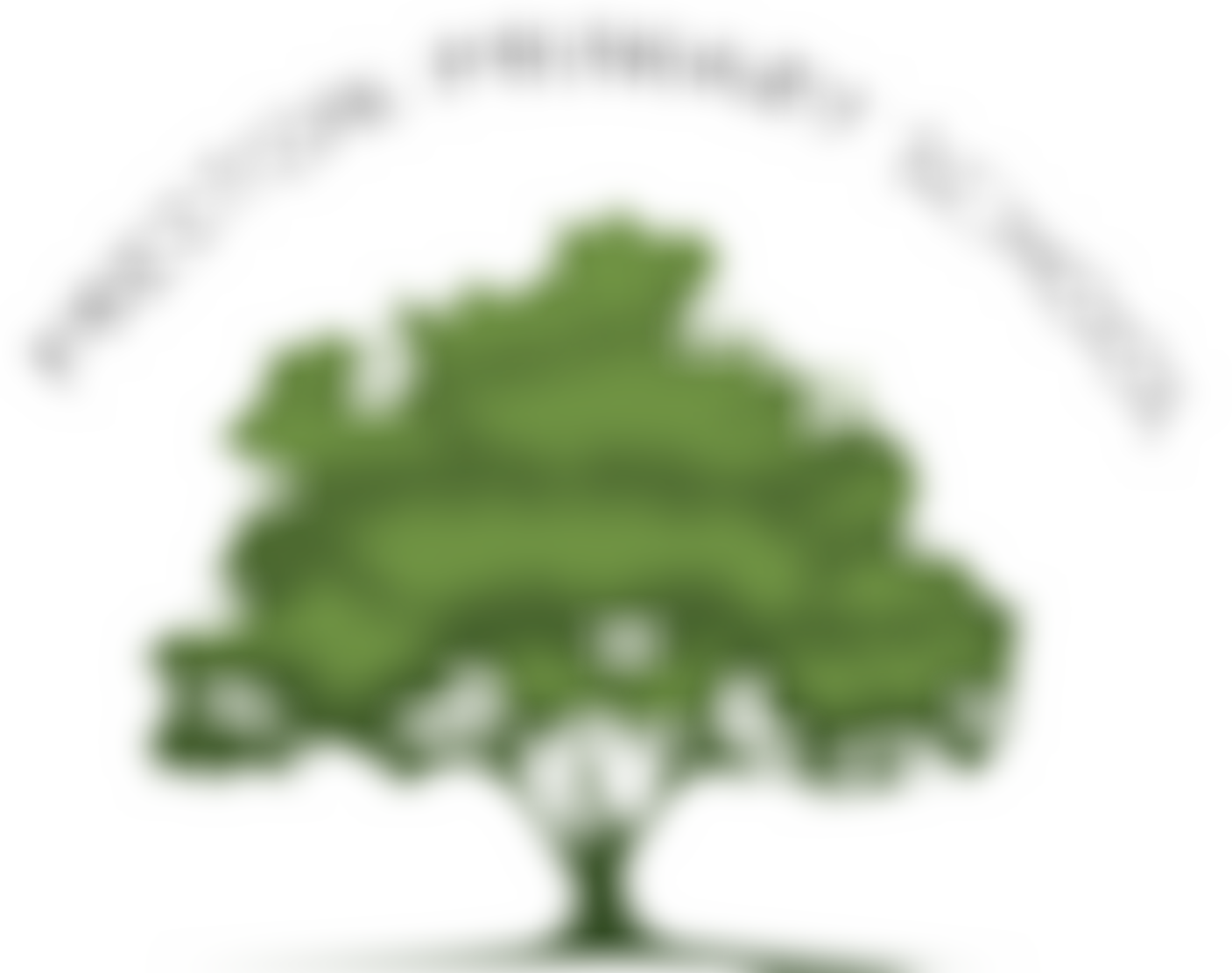Preston Primary School Pta | Charici