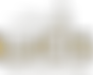 Lucis Choir | Charici