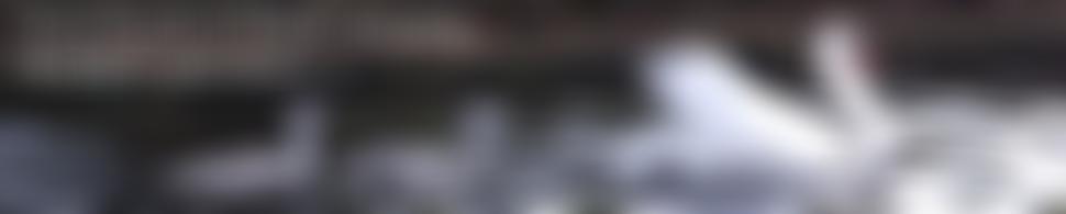 First Church Of Christ, Scientist, Stratford-Upon-Avon | Charici