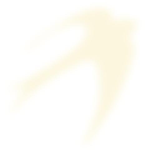 The Pta Of Connaught Junior School | Charici