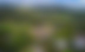 Oakley Holidays | Charici