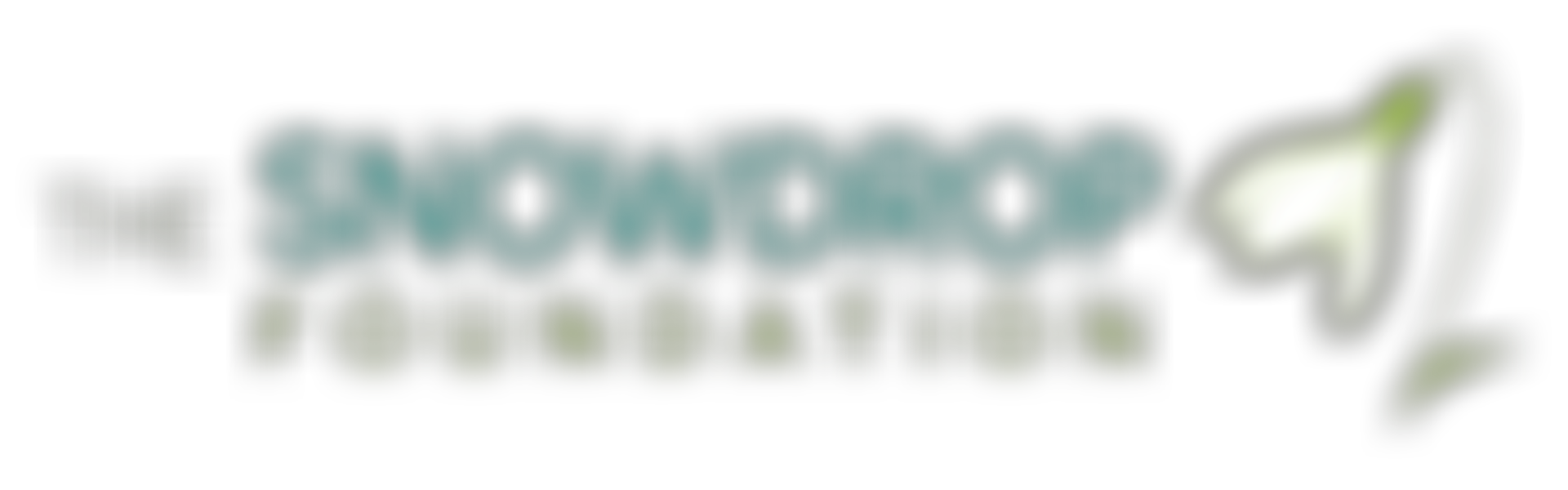 The Snowdrop Foundation | Charici