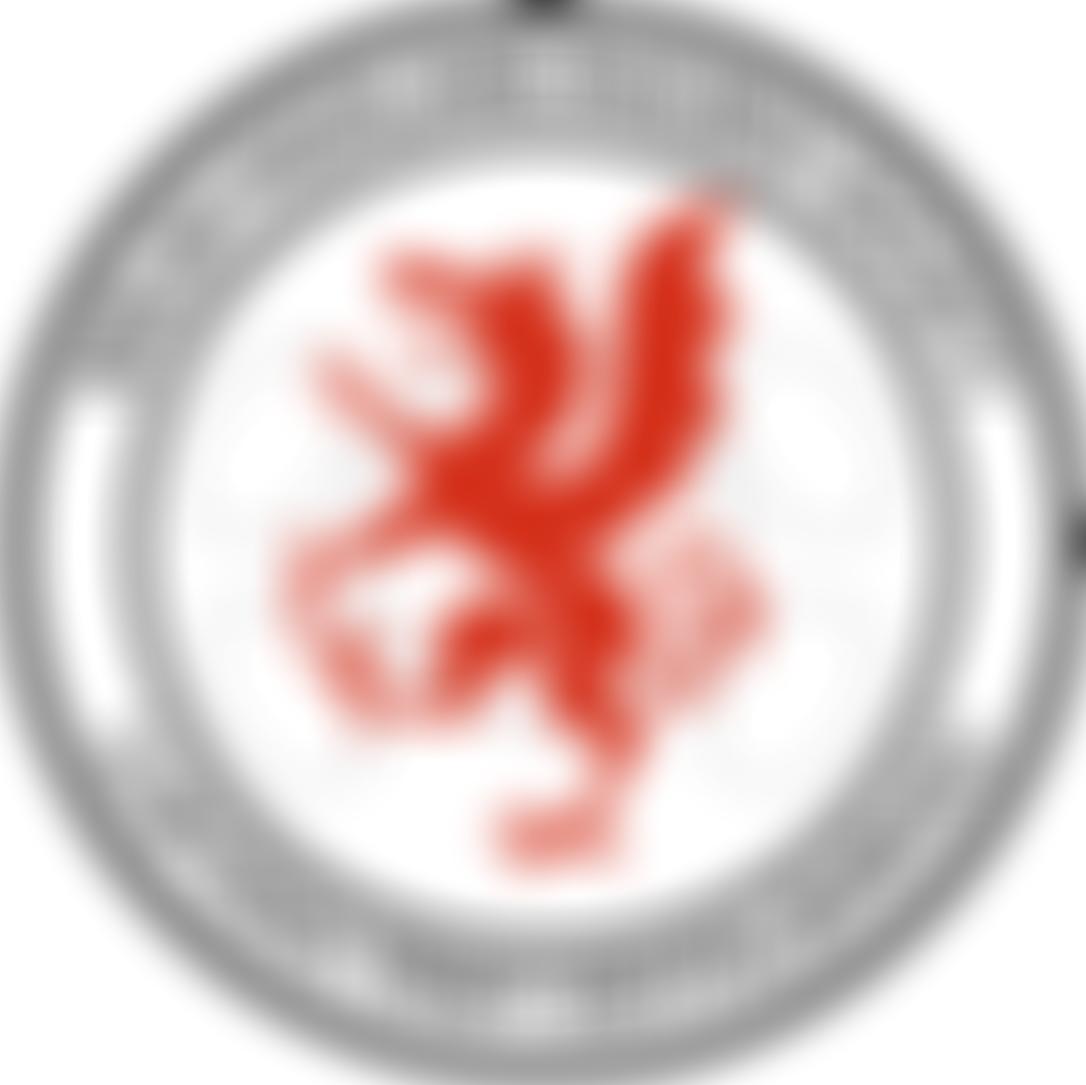 Cymdeithas Rheilffordd Eryri | Charici
