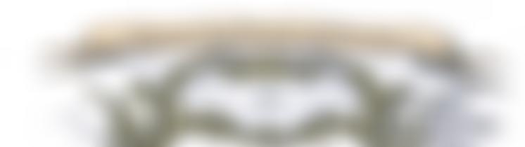 Westminster French Protestant School Foundation | Charici