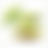 Green City Action | Charici