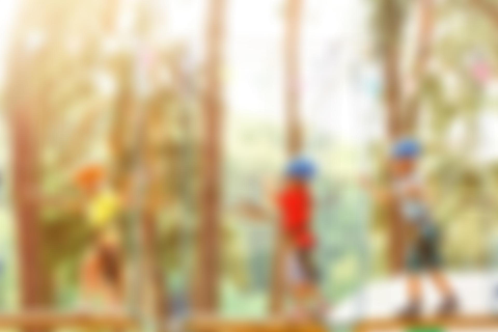 Oakwood Youth Challenge | Charici