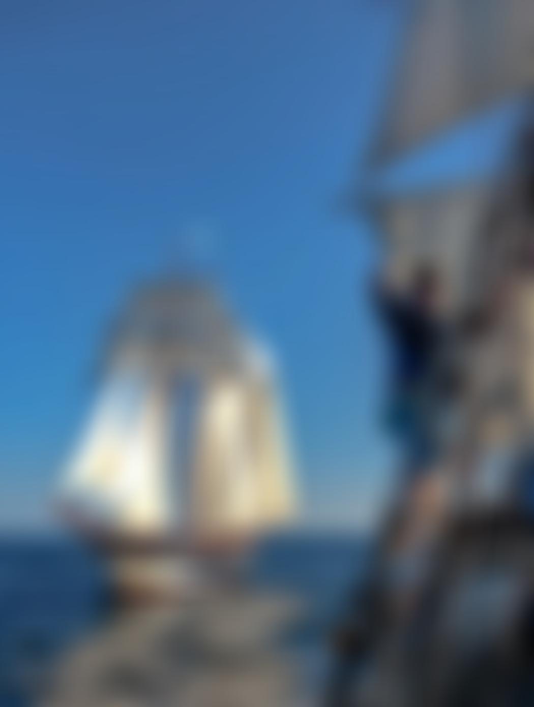 Sail Training International | Charici