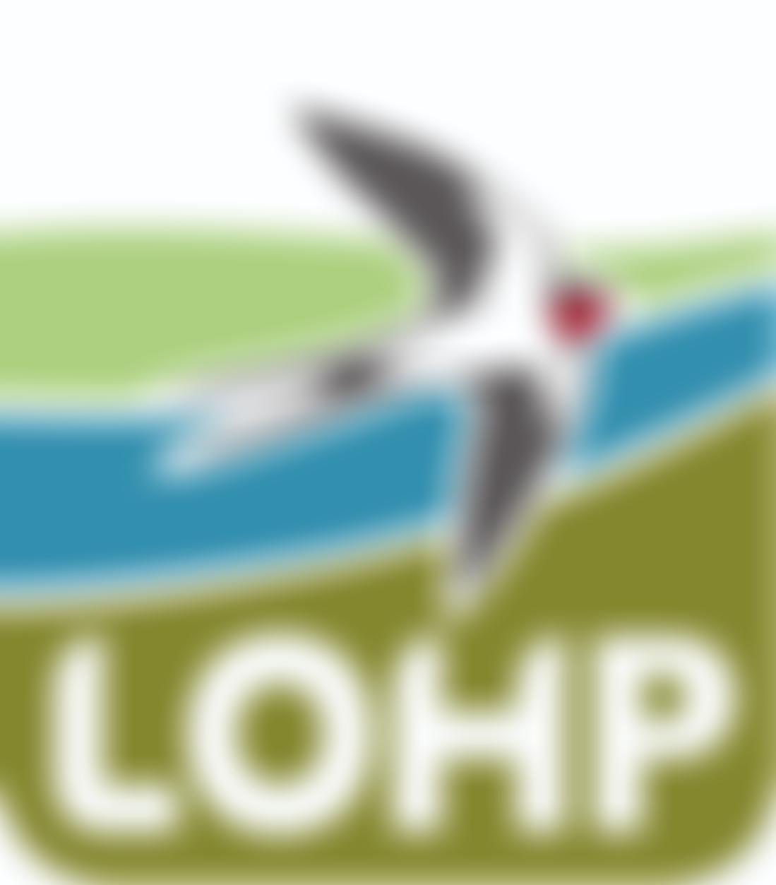 Little Ouse Headwaters Project | Charici