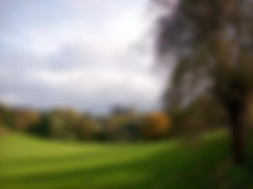 The Baxter's Field Company | Charici