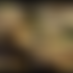 The Lms Carriage Association | Charici