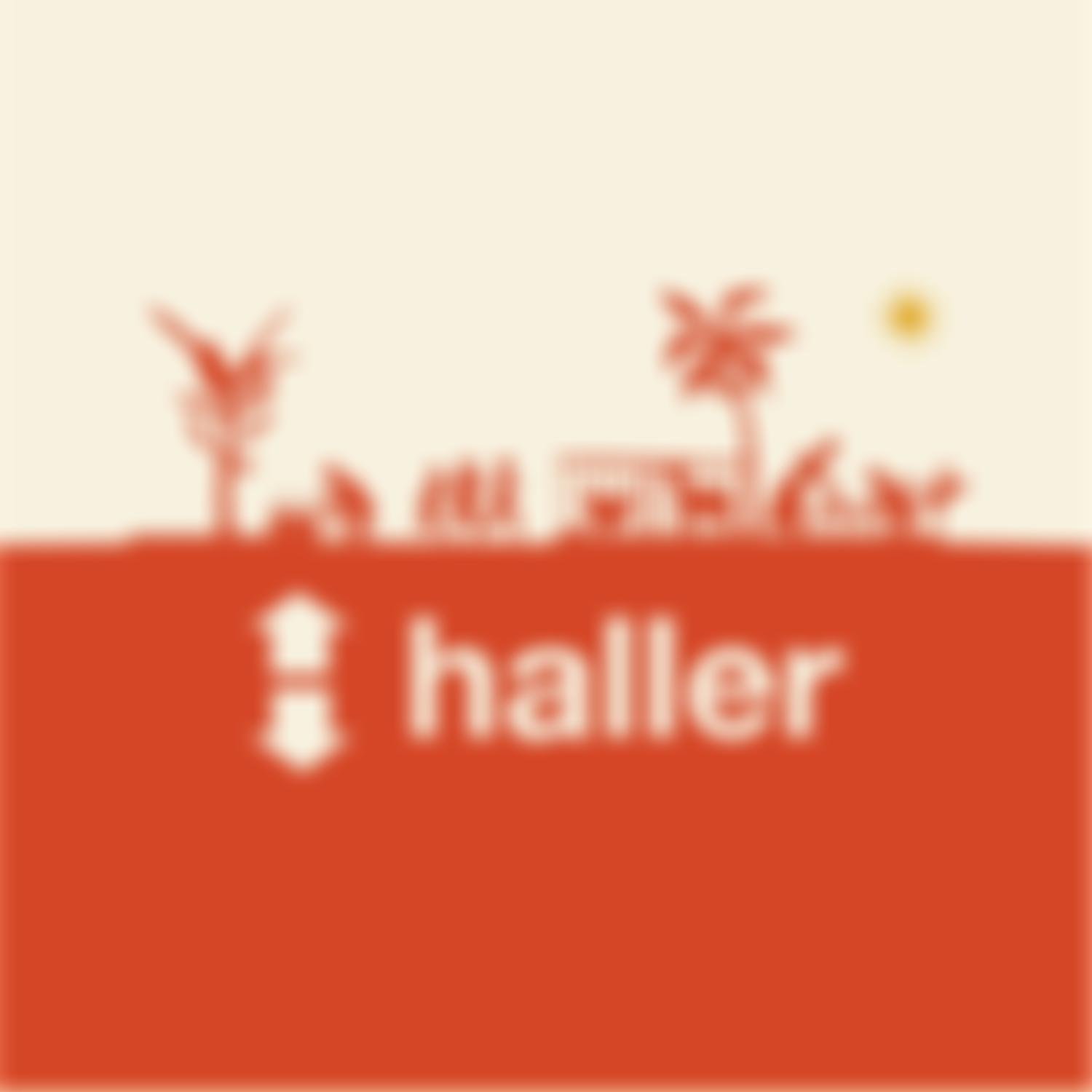 The Haller Foundation | Charici