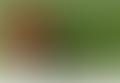 Southwell Town Bowls Club | Charici