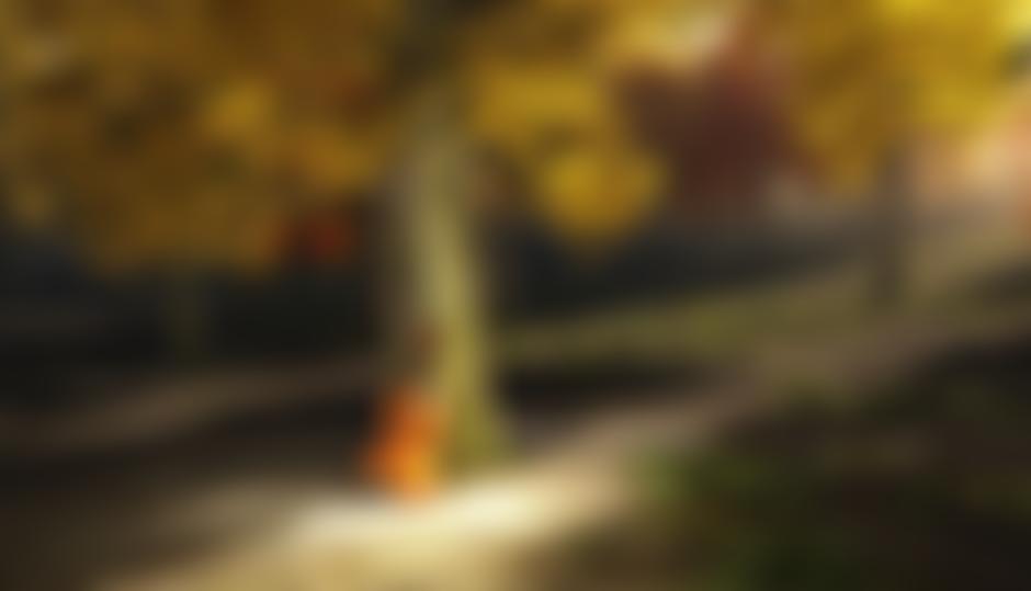 Lamberhurst Music Festival | Charici