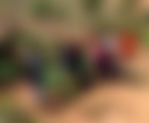 Ripple Africa | Charici