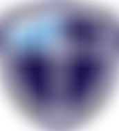 Reigate Parish Church Primary School Pta | Charici