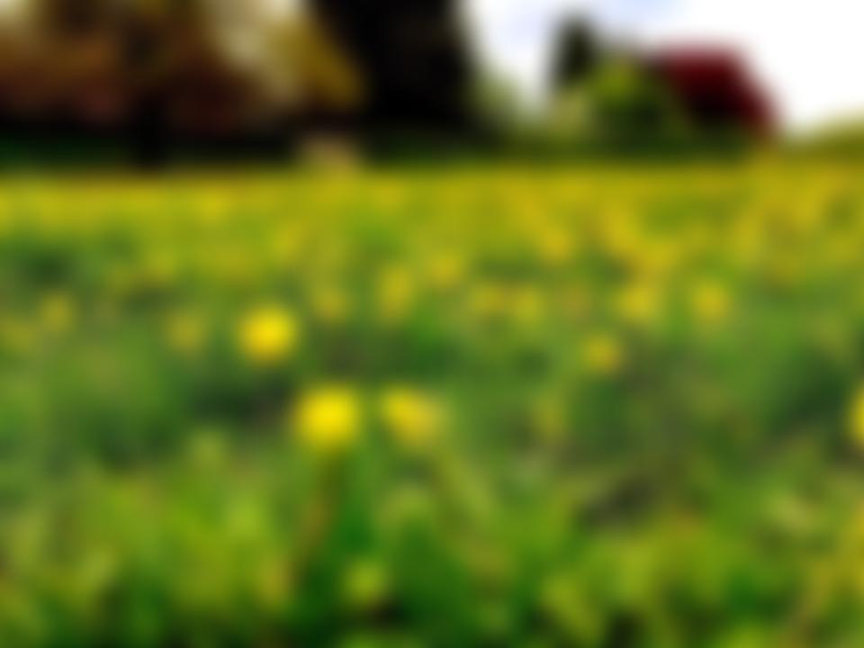 Bearsted Woodland Trust | Charici