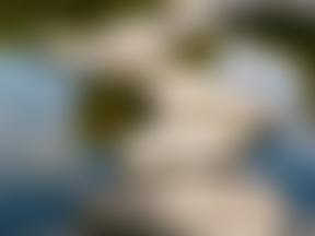 Stepping Stones Ministries UK | Charici