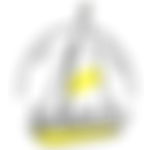 New Forest And District Sailability | Charici